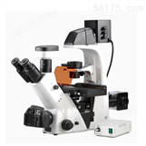 BDS500实验室智能红外感应倒置荧光显微镜