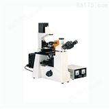 倒置荧光显微镜XDY-1
