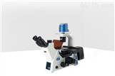 ICX41 倒置荧光显微镜