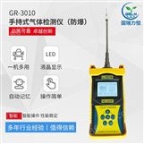 厂家直供GR-3010手持式气体检测仪