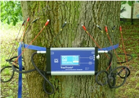 PiCUS树木电阻抗断层成像仪