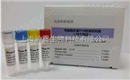 肠道腺病毒41型PCR检测试剂盒