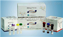大豆35S/SS PCR检测试剂盒