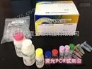 单增李斯特菌prfA基因荧光PCR检测试剂盒（探针法）